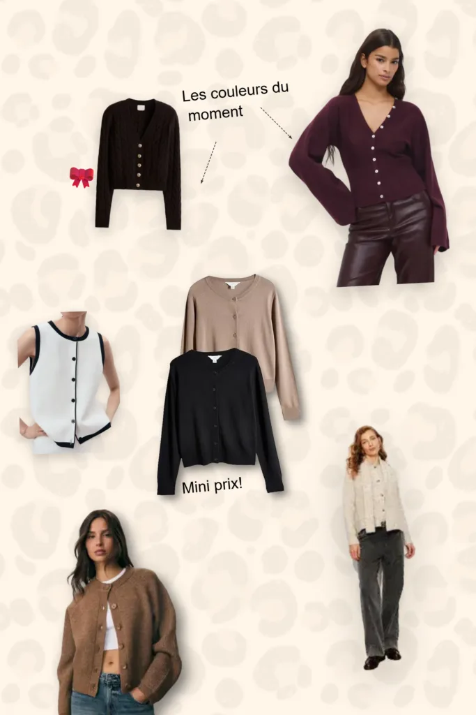 Lot de cardigans et gilet maille hiver 2026 (dont un lot pour 19€)